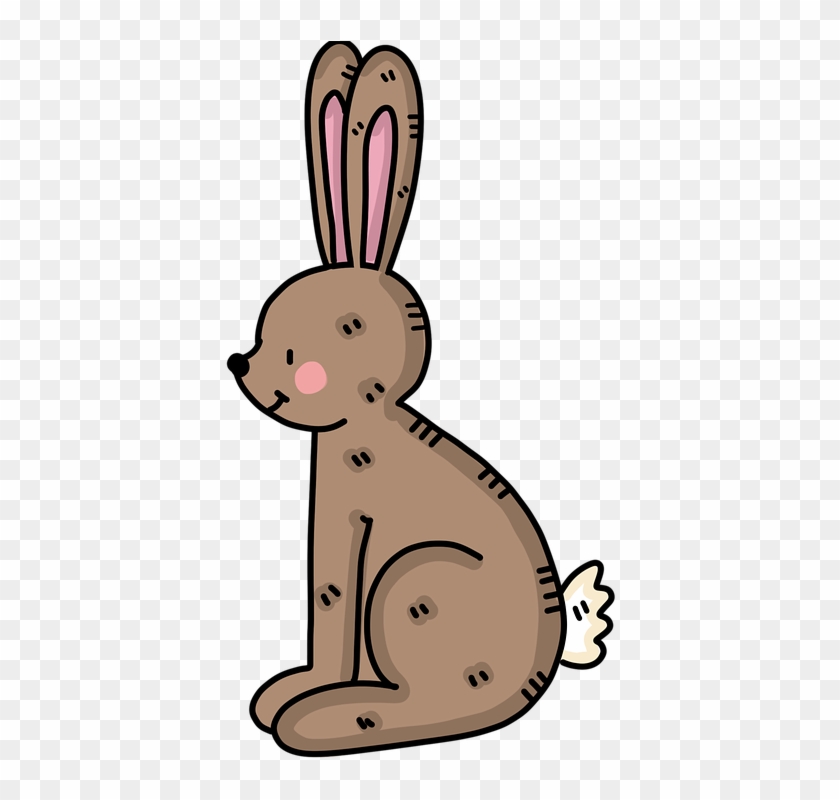Rabbit Hare Easter Brown Rabbit Animal Wildlife - Cartoon Clipart #4555826
