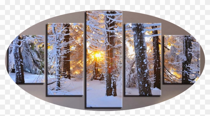 "warm Light & White Snow" - Sun Forest Winter Clipart #4555834
