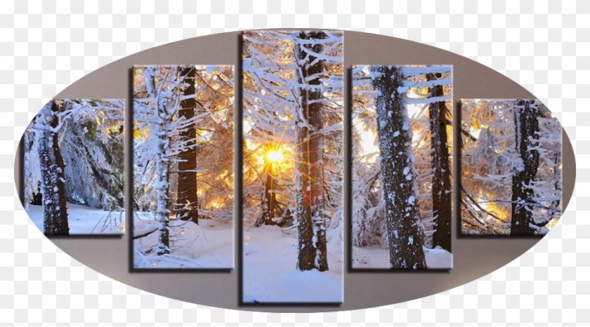 "warm Light & White Snow" - Sun Forest Winter Clipart