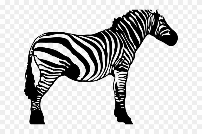 Zebra Clipart Neck - Zebra Black N White - Png Download