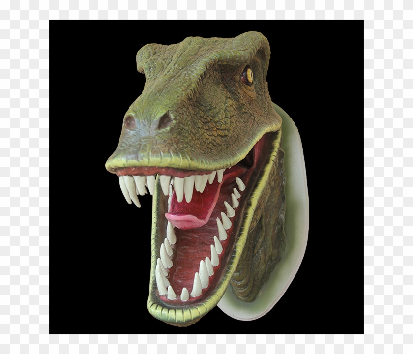 Velociraptor Head Clipart #4556909