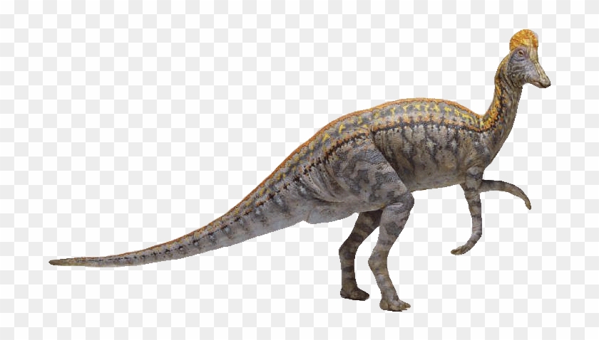 Smaller In Size Plumes Were Young Dinosaurs In The - Velociraptor Clipart #4557016