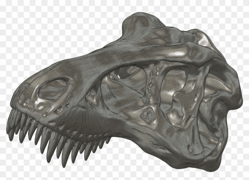 This T-rex Skull By Makerbot Is A Complex Stl Made - Tyrannosaurus Clipart
