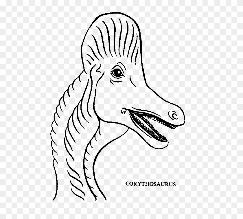 Drawn Dinosaur Head - Dinosaur Head Coloring Page Clipart