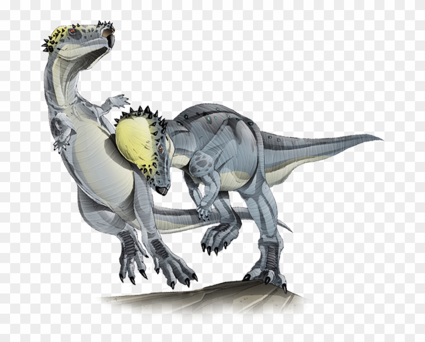 Pachycephalosaurus - Pachycephalosaurus Png Clipart #4557318