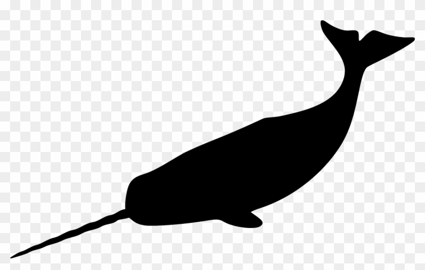 Narwhal Tusk Mammal Whale Png Image - Narwhal Silhouette Clipart #4558740