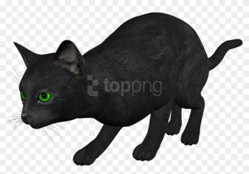 Free Png Download Cat Png Images Background Png Images - Cat Hunting Png Clipart #4558780