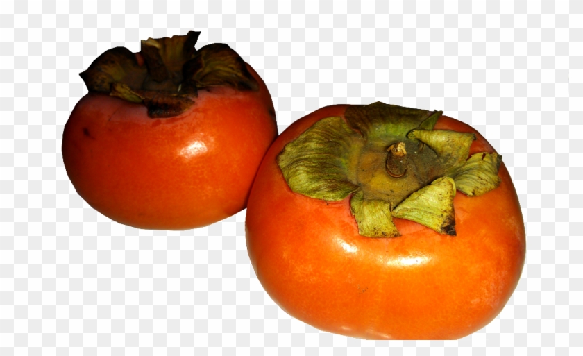Persimmon Clipart