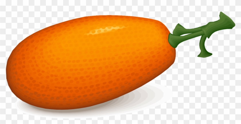 File - Persimmon - Svg - Kumquat Clipart - Png Download #4559378