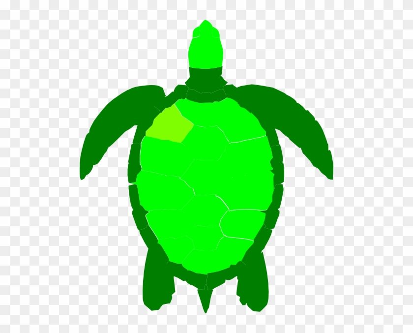 Green Sea Turtle Clipart - Png Download #4560223