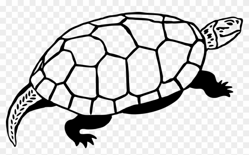 Sea Turtle Reptile Line Art Drawing - Gopher Tortoise Clipart #4560350