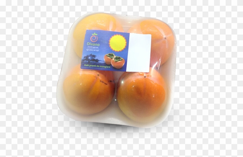 Polistyrene Tray With Pvc - Bun Clipart #4560353