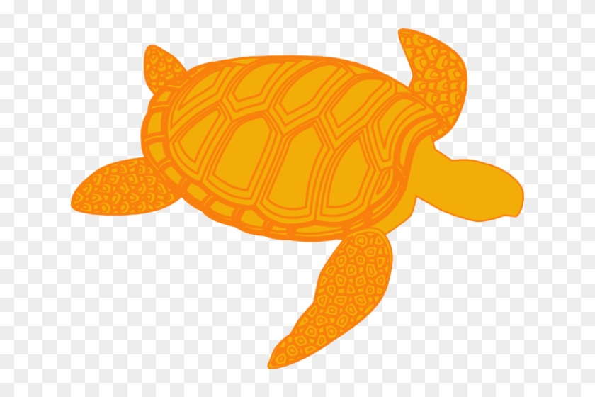 Sea Turtle Clipart Olive Ridley - Shadow Of A Turtle - Png Download