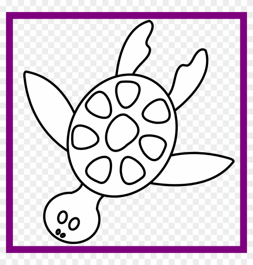 Inspiring Graphic Hawksbill Sea Drawn Line Stock - Clip Art - Png Download