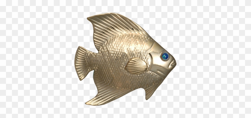 Gray Snapper Clipart
