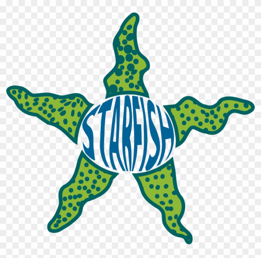 Starfish Marine Invertebrates Drawing Echinoderm Sea Clipart #4561059