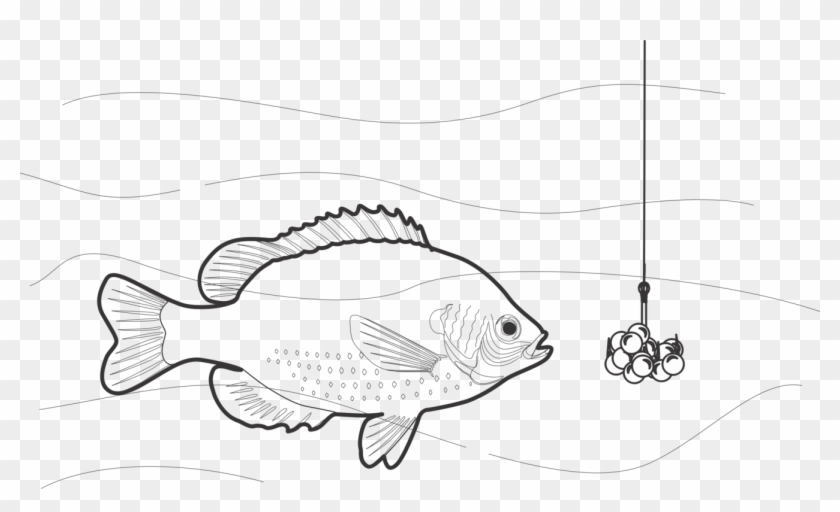 Black And White Fishing Bait Fishing Rods - Pomacentridae Clipart #4562183
