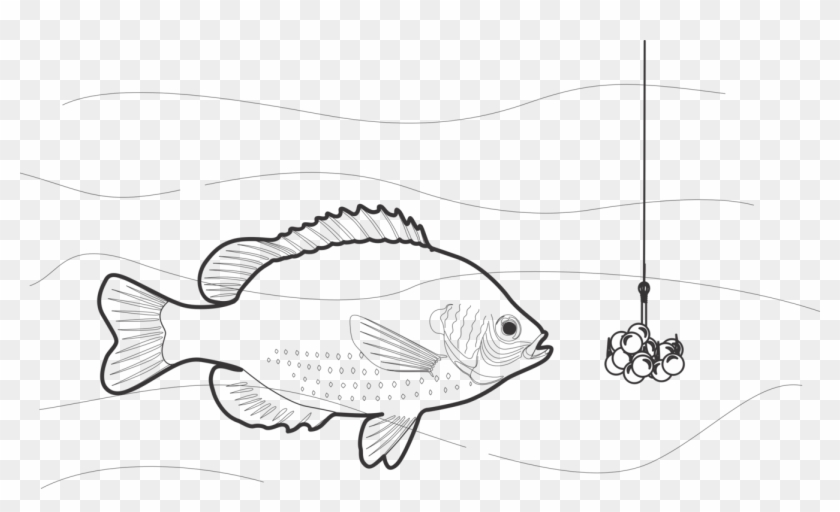 Black And White Fishing Bait Fishing Rods - Pomacentridae Clipart