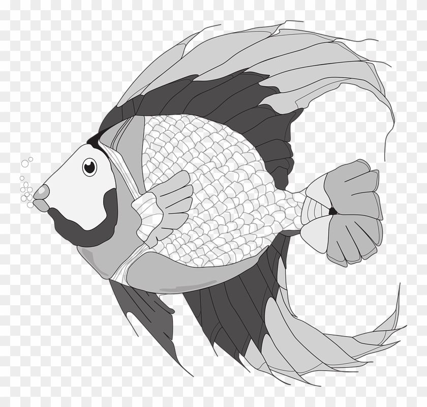 Fish Fish Illustration Black And White Fish - Pomacentridae Clipart