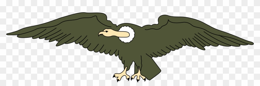 Condor Drawing Cartoon - Clipart Images Of Vulture - Png Download #4562236