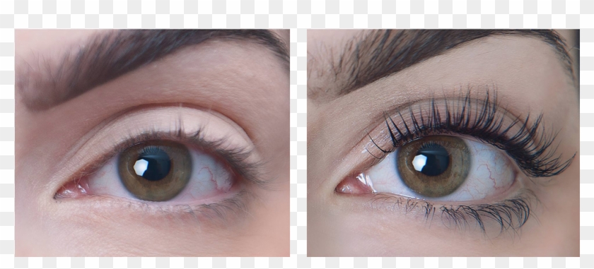 Beauty - 1 Week Castor Oil Eyelash Results Clipart
