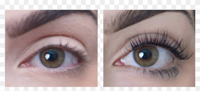 Beauty - 1 Week Castor Oil Eyelash Results Clipart #4563036