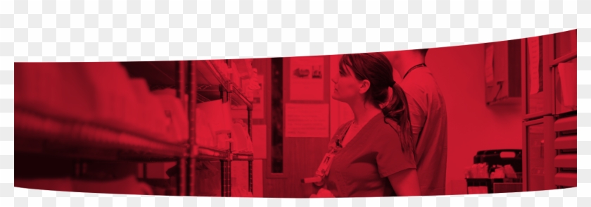 Two Employees Putting Away Inventory - Girl Clipart