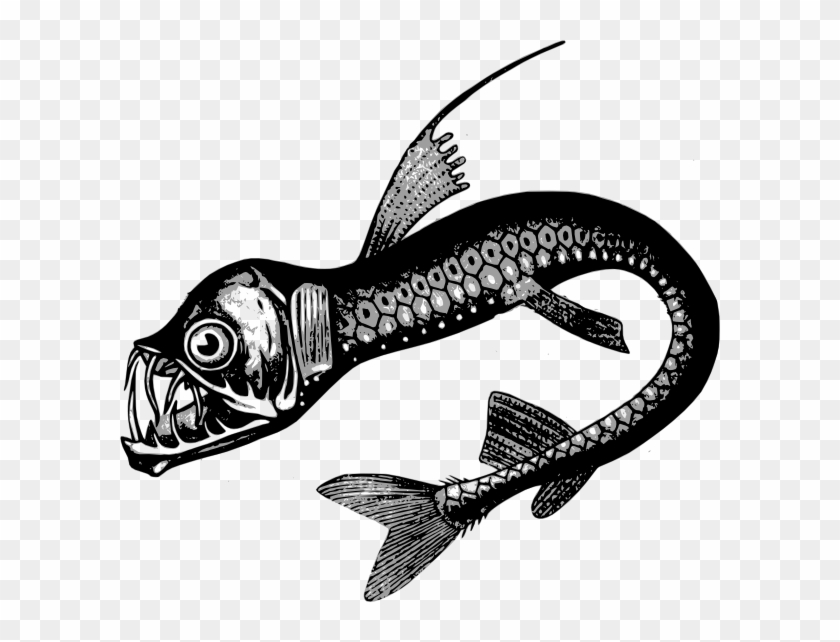 Deep Sea Creatures Drawing Clipart #4564413