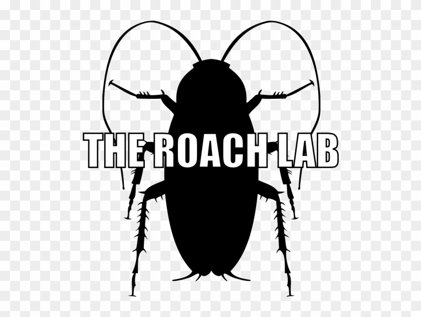 The Roach Lab - Cockroach Silhouette Clipart
