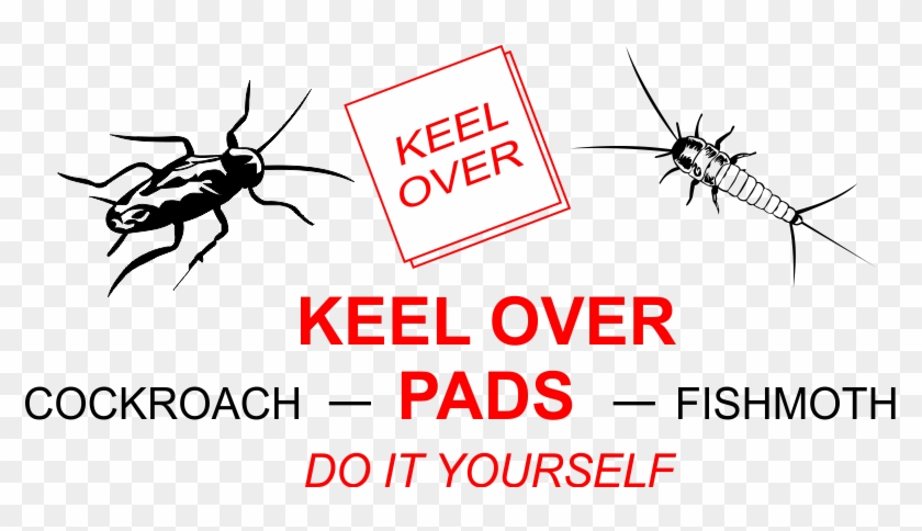 Logo - Mosquito Clipart #4564808