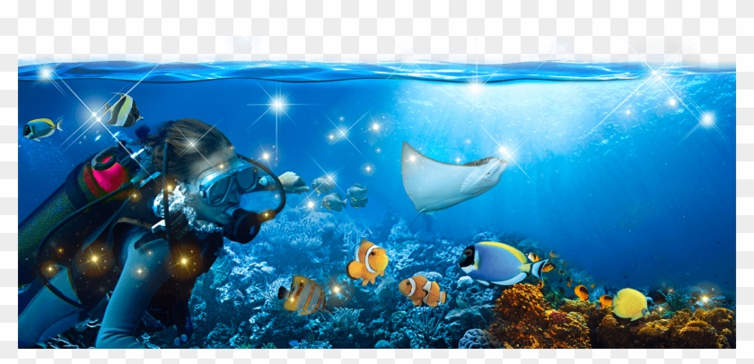 Save Our Seas - Tunisia Sea Life Clipart
