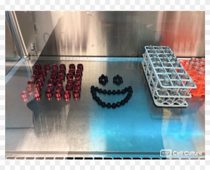 #labfriends #community #sciencecommunity #together - Berry Clipart