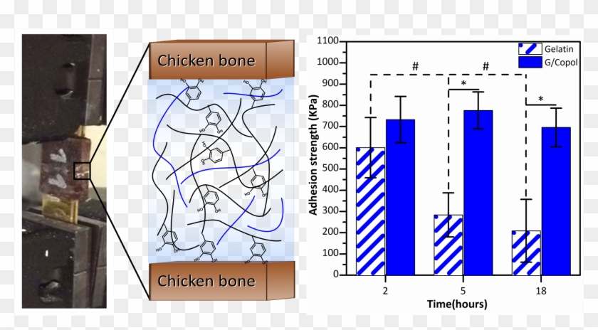 Biocompatible And Bioadhesive Low Molecular Weight - Molecular Weight Vs Adhesion Clipart