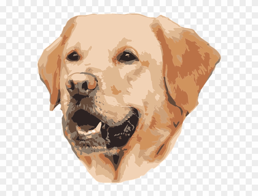 Labrador Mistress Master Lab Retriever - Best Dog Breed For Therapy Dog Clipart