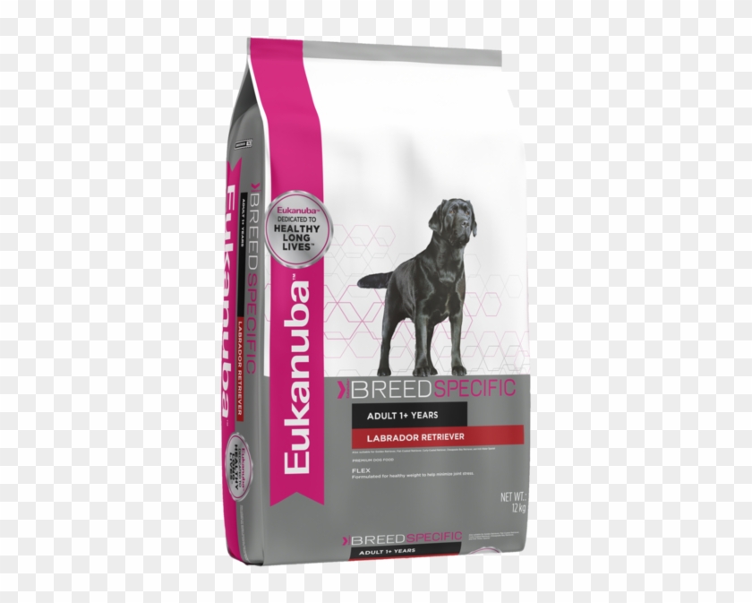 Eukanuba Dog Labrador Retriever - Eukanuba Breed Specific Labrador Retriever Clipart #4567015