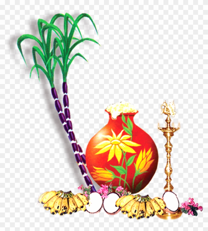 Ugadhi Pot With Sugarcane Png Image - Pongal Wishes In Tamil Png Clipart