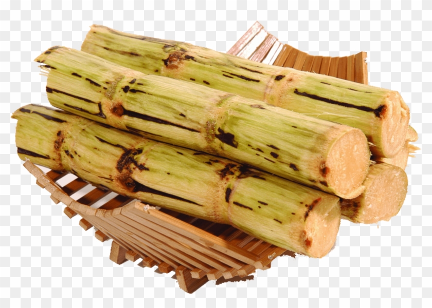 Sugar Cane - Sugarcane Png Clipart #4567324