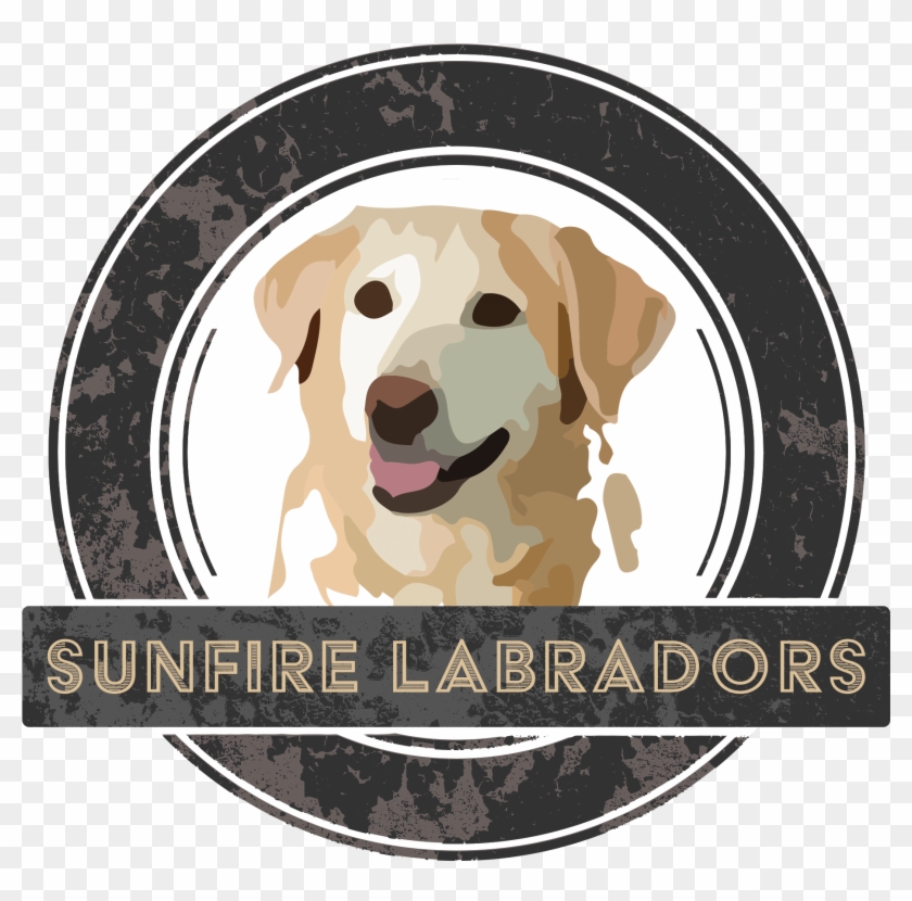 Logosunfirelab - Labrador Retriever Clipart