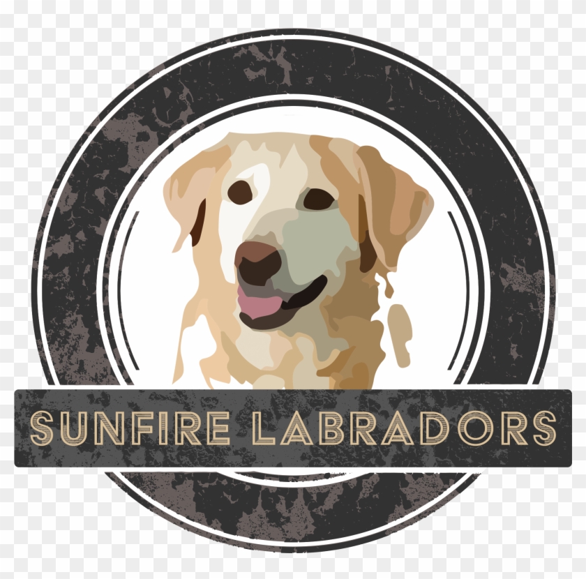Logosunfirelab - Labrador Retriever Clipart #4567445