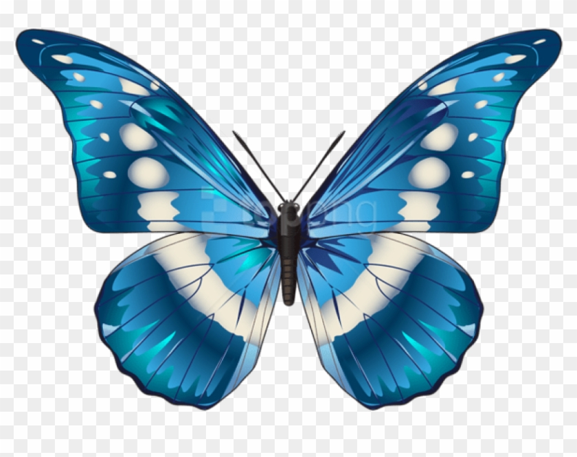 Download Butterfly Blue Clipart Png Photo Toppng - Transparent Background Butterfly Clipart