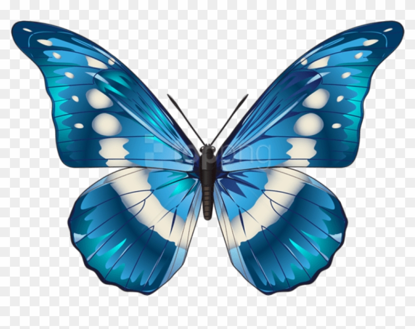 Download Butterfly Blue Clipart Png Photo Toppng - Transparent Background Butterfly Clipart #4567598