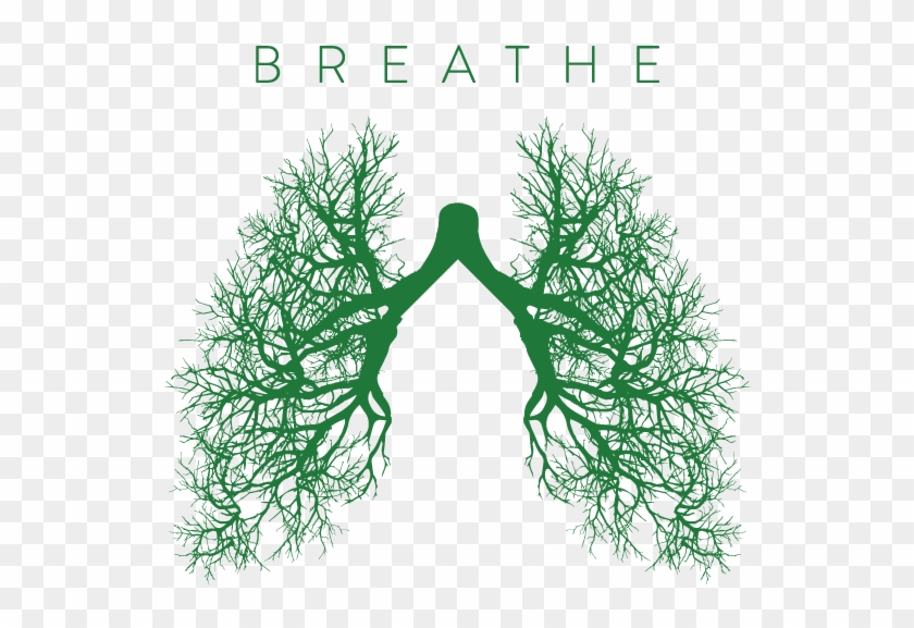Csulb Breathe Campaign Enforces Smoke-free Campus - Breathe Campaign Csulb Clipart #4567710