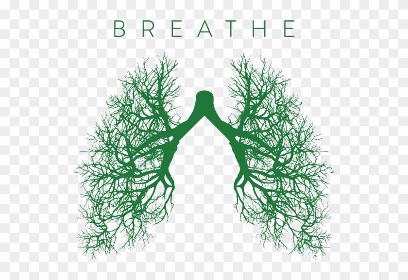 Csulb Breathe Campaign Enforces Smoke-free Campus - Breathe Campaign Csulb Clipart #4567710