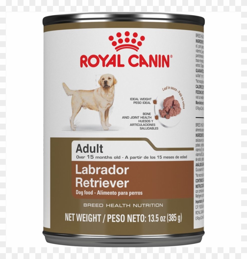Adult Labrador Retriever Canned Dog Food - German Shepherd Royal Canin Clipart #4567801