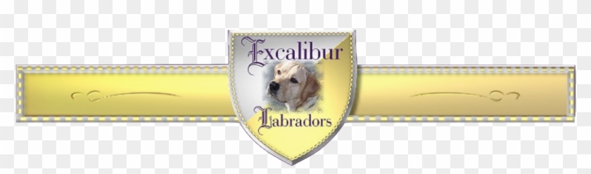 We Currently Do Not Have Akc Registered Labrador Retriever - Labrador Retriever Clipart #4567885