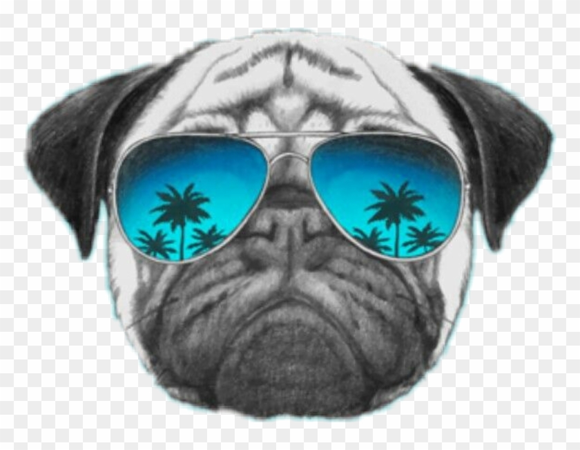 cara perro lentesdesol palmeras gafas bulldog Pugs White