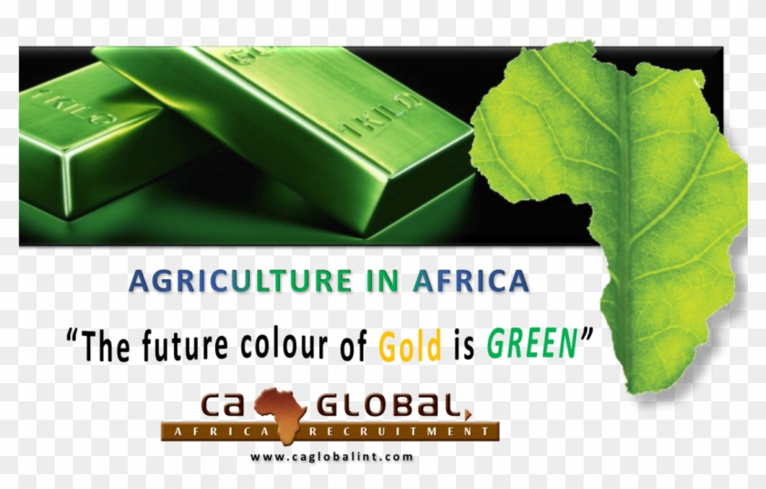 The Next Booming Sector Africa's Green Revolution - Recruitment Clipart #4569218