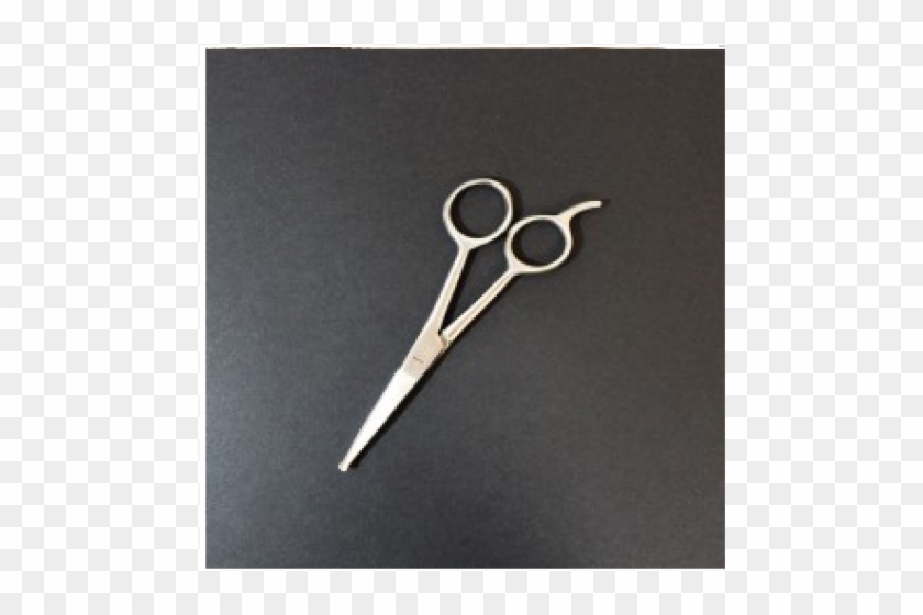 Pet Cutting Scissors - Brass Clipart