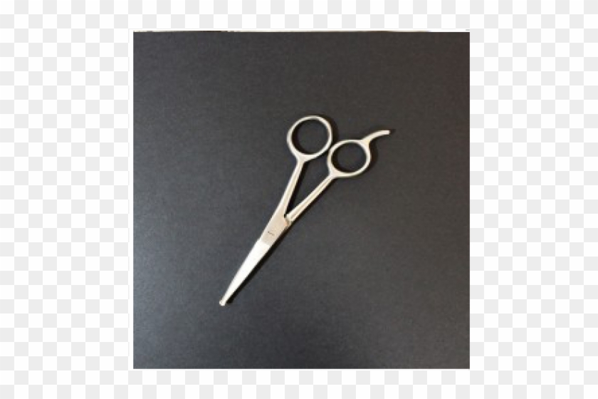 Pet Cutting Scissors - Brass Clipart #4570162