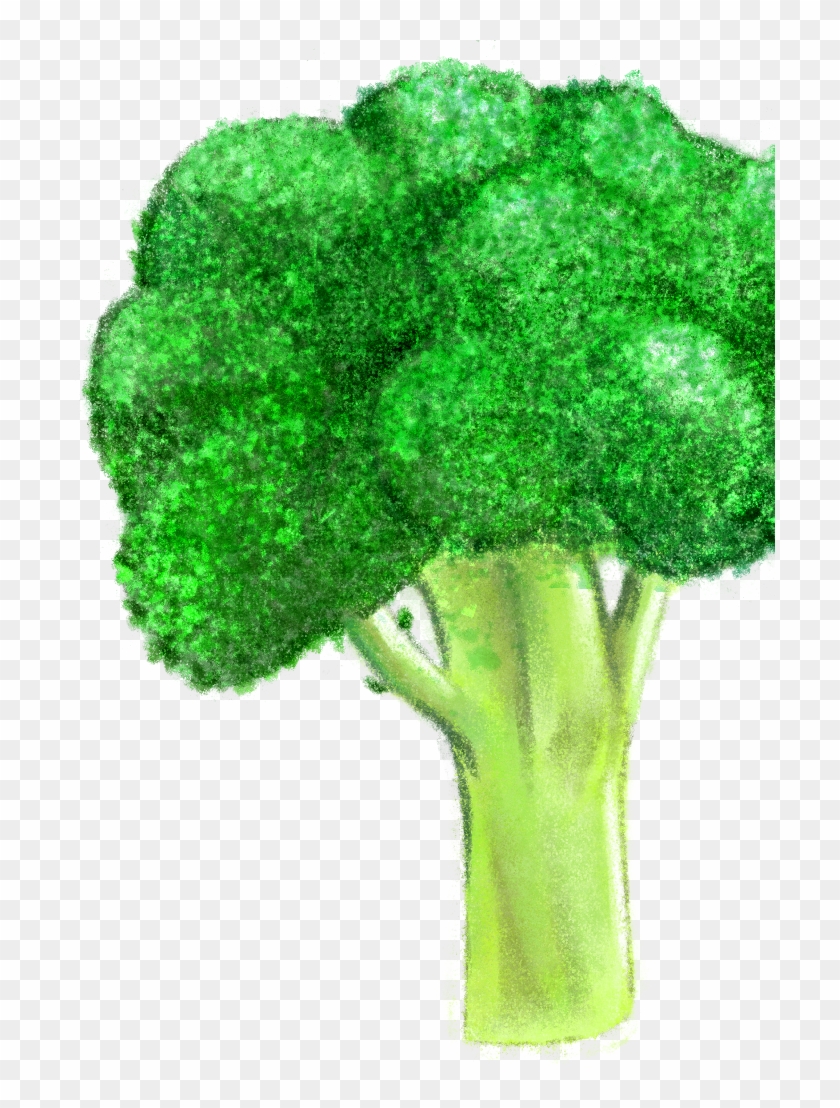 Much Of The Grocery List Changed Over Time And Some - Broccoli Clipart #4570951